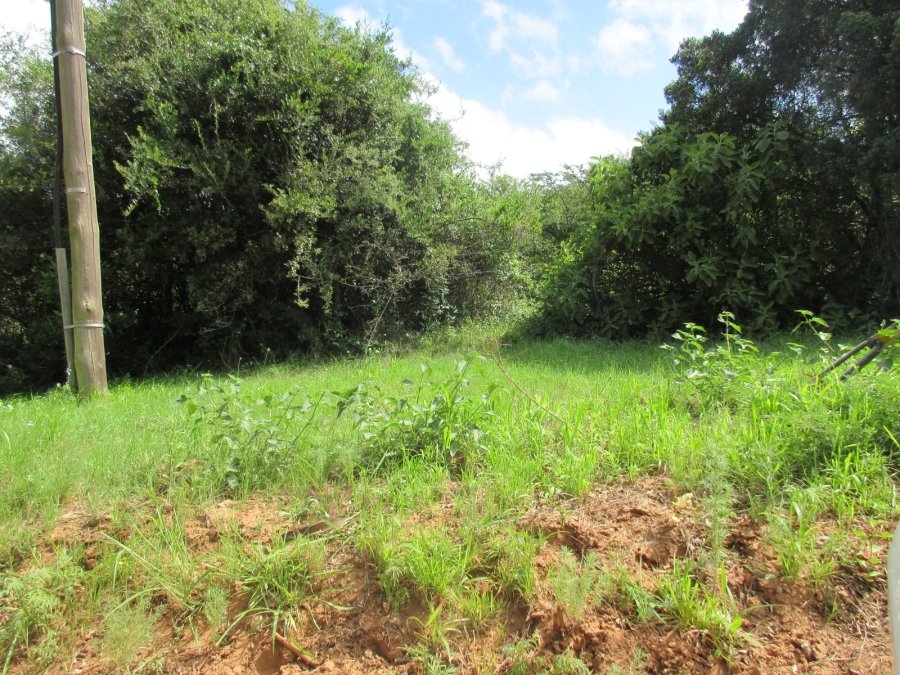 0 Bedroom Property for Sale in Bathurst Eastern Cape